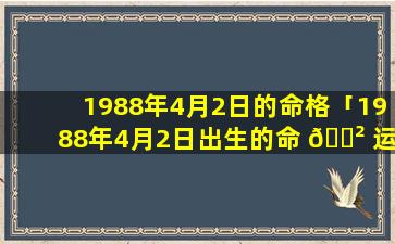 1988年4月2日的命格「1988年4月2日出生的命 🌲 运女孩」